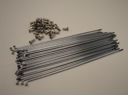 PictureAltAttribute - 41564-jpg